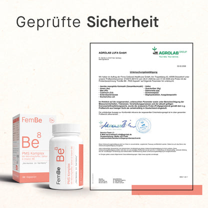 PMS Kapseln mit Mönchspfeffer, Safran &amp; Ingwer – Be8 FemBe