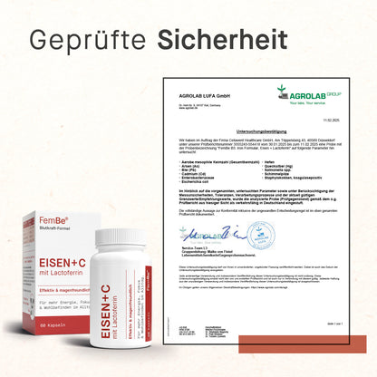 Sicherheitsnachweis FemBe Eisen