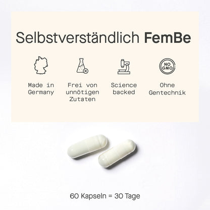 FemBe PMS Vorteile des Unternehmens